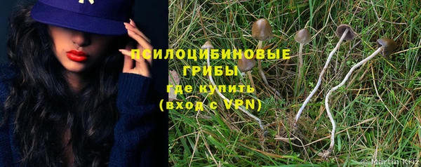 прущая мука Богданович