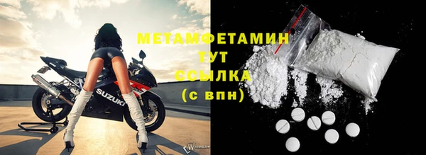 гидра Богородицк