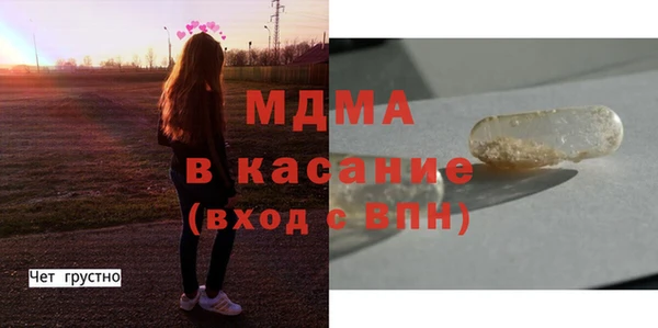 гидра Богородицк