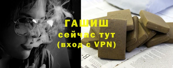 гидра Богородицк