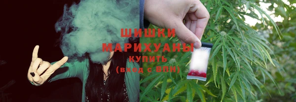 гидра Богородицк