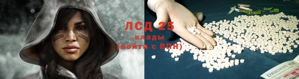 шишки Богородск