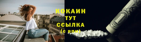 шишки Богородск
