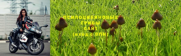 МДПВ Армянск