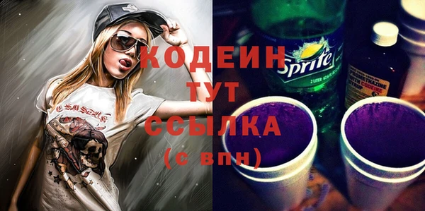 гидра Богородицк