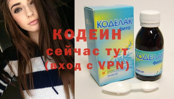 шишки Богородск