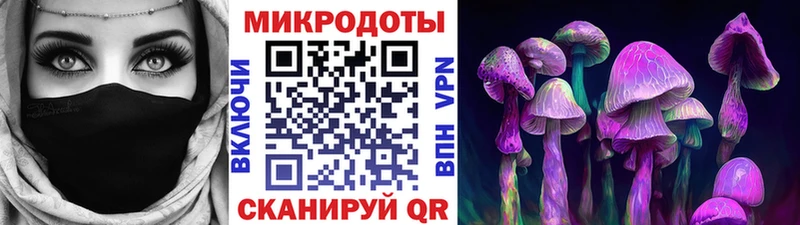 закладки  Пересвет  Псилоцибиновые грибы мицелий 